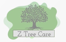 Logo for Z Tree Care