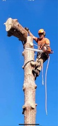 Blake's Trees, LLC logo