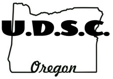 Logo for Unique Design & Sanders Construction, LLC