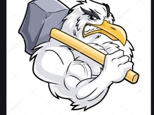 Avatar for Birdie and Sons, Inc.