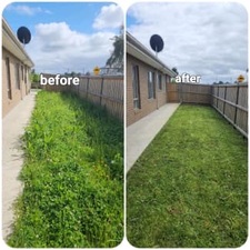 Logo for Perfecto Lawn Care