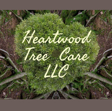 Avatar for Heartwood Tree Care LLC
