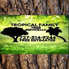 Avatar for TROPICAL FAMILY TREE SERVICE.LLC