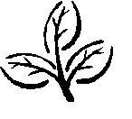 Three Leaf Landscaping, LLC logo