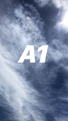 A1 Contractors logo
