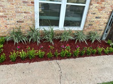 Avatar for Savage Landscaping LLC
