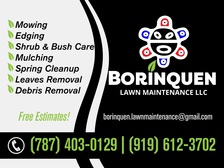 Borinquen Lawn Maintenance LLC logo