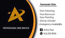 Logo for Professional Tree Service