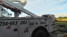 Avatar for Duvall tree service LLC
