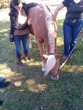 Logo for Martin Painting