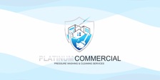 PLATINUM COMMERCIAL PRESSURE WASHING CLEANING SERVICE, LLC logo