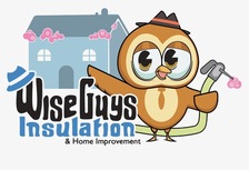 Avatar for Wise Guys Insulation & Home Improvements LLC