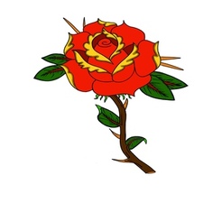 Avatar for American Remodels, Inc.