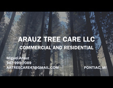 Logo for Arauz Tree Care LLC