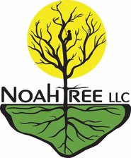 Avatar for Noah Tree, LLC