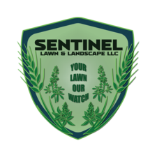 Logo for Sentinel Lawn & Landscape LLC