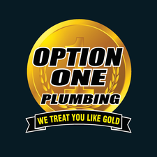 Avatar for Option One Plumbing