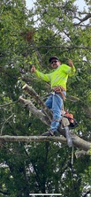 Logo for Arias Brothers Tree Service