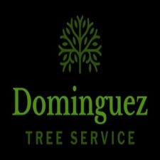 Avatar for Dominguez tree services