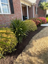 Avatar for JJ CREATION