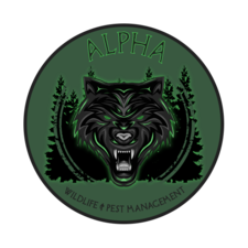 Logo for Alpha Wildlife and Pest Management, LLC