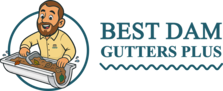 Avatar for Best Dam Gutters Plus
