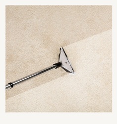 True Clean Carpet & Furniture Cleaning logo