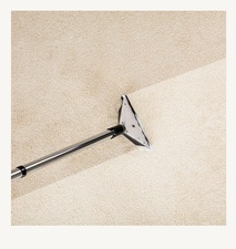 Avatar for True Clean Carpet & Furniture Cleaning