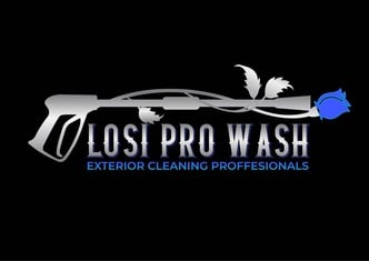 LOSI PRO WASH LLC logo