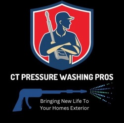 Pressure Washing Pros logo