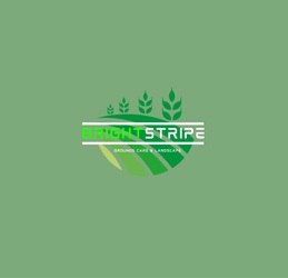 BrightStripe logo