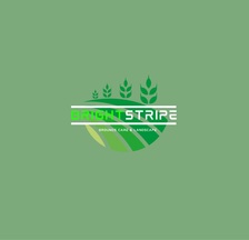 Avatar for BrightStripe