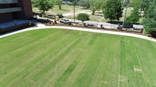 Logo for Congaree Yard Works