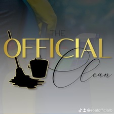Logo for The Official Cleaning