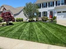 Logo for TW LAWNCARE LLC