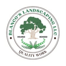 Avatar for Blanco's Landscaping, LLC