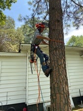 Avatar for Wild Heights Tree Service
