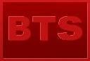 BT Surveys, Inc. logo
