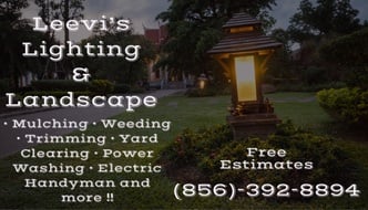 Leevi's Lighting and Landscape logo