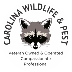 Carolina Wildlife Handling LLC logo