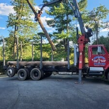 Avatar for Tree Chief & Landscaping LLC