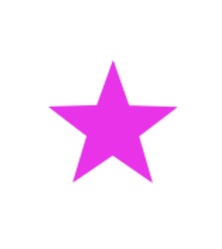 Pink Star Pest Control LLC logo