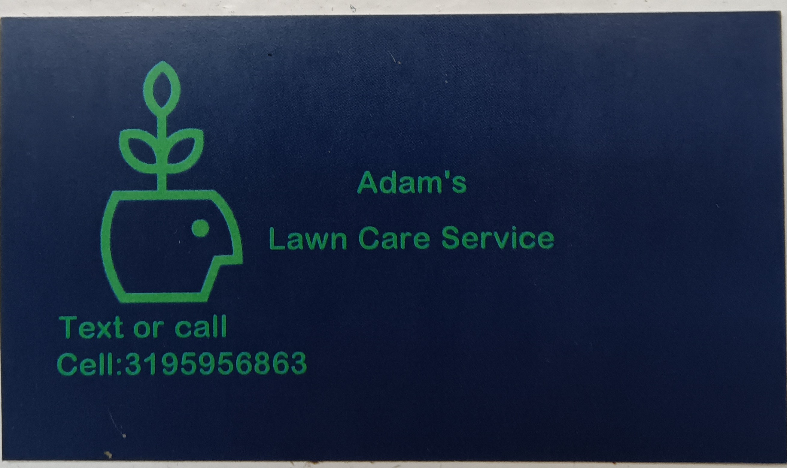 7 Best Tree Services Waterloo IA Tree Removal