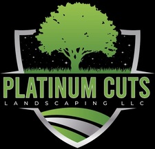 Avatar for Platinum Cuts