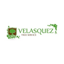 Velasquez Tree Services Inc logo