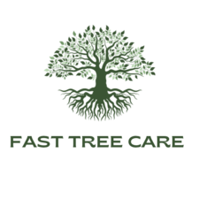 Logo for Fast Tree Care