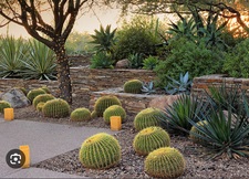 Avatar for Jackpot Landscaping
