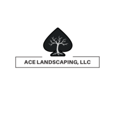 Avatar for Ace Landscaping, LLC