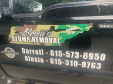 Logo for Alesia's Stump Removal Service