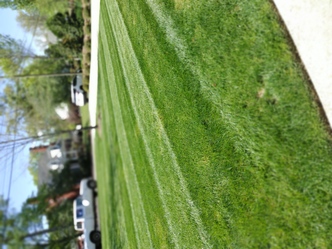 Rashaad's Exotic Landscaping LLC logo